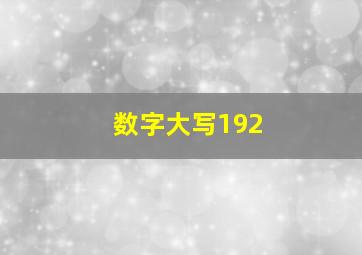 数字大写192