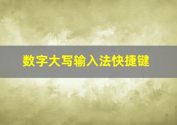 数字大写输入法快捷键