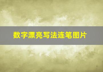 数字漂亮写法连笔图片