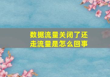 数据流量关闭了还走流量是怎么回事