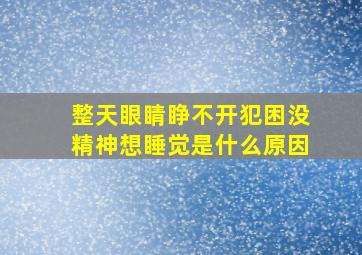 整天眼睛睁不开犯困没精神想睡觉是什么原因