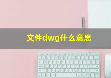 文件dwg什么意思