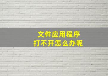 文件应用程序打不开怎么办呢