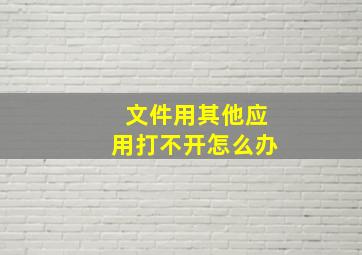 文件用其他应用打不开怎么办