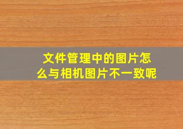 文件管理中的图片怎么与相机图片不一致呢