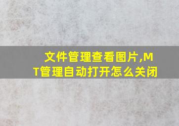 文件管理查看图片,MT管理自动打开怎么关闭