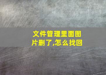 文件管理里面图片删了,怎么找回