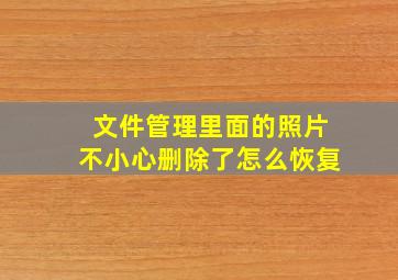 文件管理里面的照片不小心删除了怎么恢复