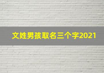 文姓男孩取名三个字2021