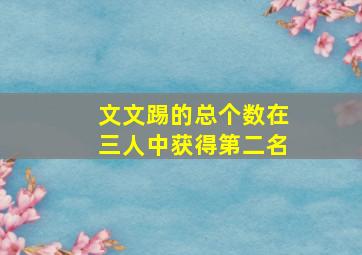 文文踢的总个数在三人中获得第二名