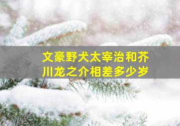 文豪野犬太宰治和芥川龙之介相差多少岁