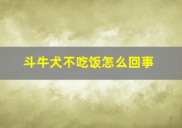 斗牛犬不吃饭怎么回事