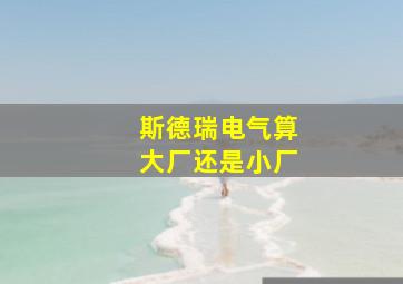 斯德瑞电气算大厂还是小厂