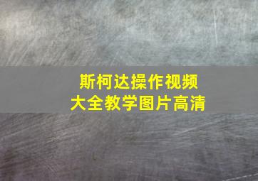 斯柯达操作视频大全教学图片高清