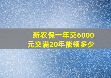 新农保一年交6000元交满20年能领多少