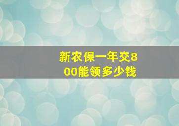 新农保一年交800能领多少钱