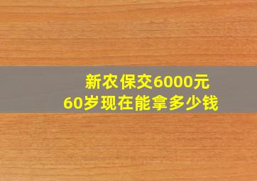 新农保交6000元60岁现在能拿多少钱