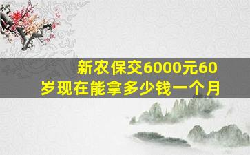 新农保交6000元60岁现在能拿多少钱一个月