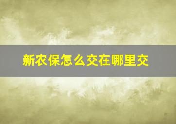 新农保怎么交在哪里交