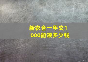 新农合一年交1000能领多少钱