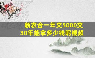 新农合一年交5000交30年能拿多少钱呢视频