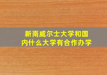 新南威尔士大学和国内什么大学有合作办学