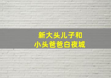 新大头儿子和小头爸爸白夜城