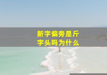 新字偏旁是斤字头吗为什么