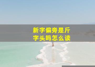 新字偏旁是斤字头吗怎么读