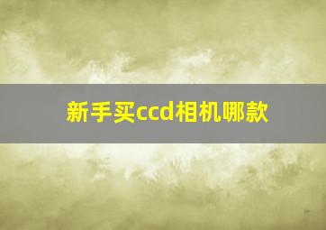 新手买ccd相机哪款