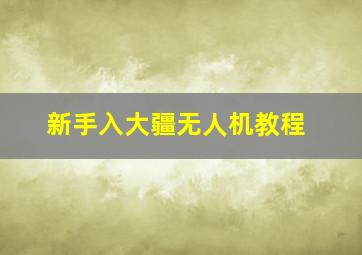 新手入大疆无人机教程