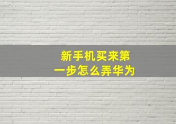 新手机买来第一步怎么弄华为