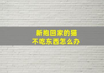 新抱回家的猫不吃东西怎么办