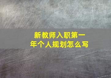 新教师入职第一年个人规划怎么写