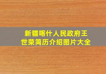 新疆喀什人民政府王世荣简历介绍图片大全