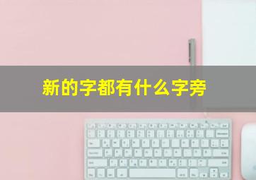 新的字都有什么字旁