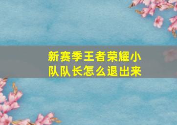 新赛季王者荣耀小队队长怎么退出来