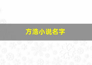 方浩小说名字