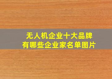 无人机企业十大品牌有哪些企业家名单图片