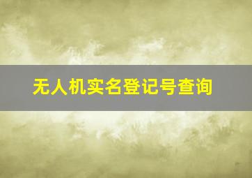 无人机实名登记号查询