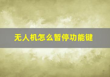 无人机怎么暂停功能键