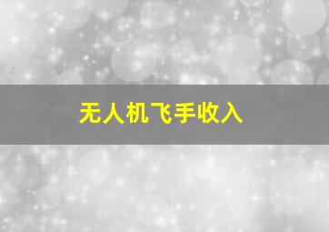 无人机飞手收入