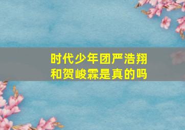 时代少年团严浩翔和贺峻霖是真的吗