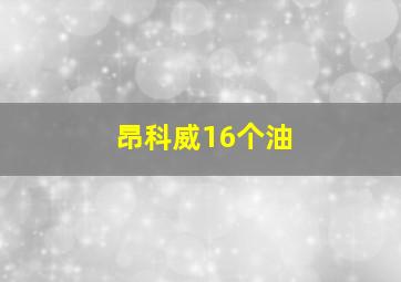 昂科威16个油