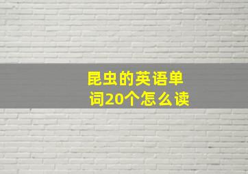 昆虫的英语单词20个怎么读