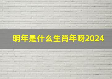 明年是什么生肖年呀2024