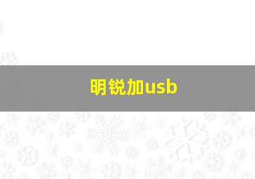 明锐加usb