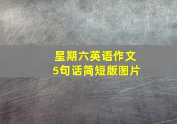 星期六英语作文5句话简短版图片