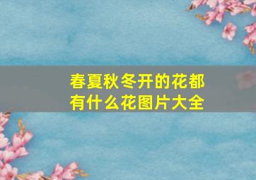 春夏秋冬开的花都有什么花图片大全