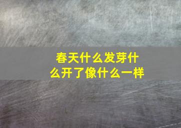 春天什么发芽什么开了像什么一样